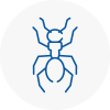 Ant Removals In Crown Point
